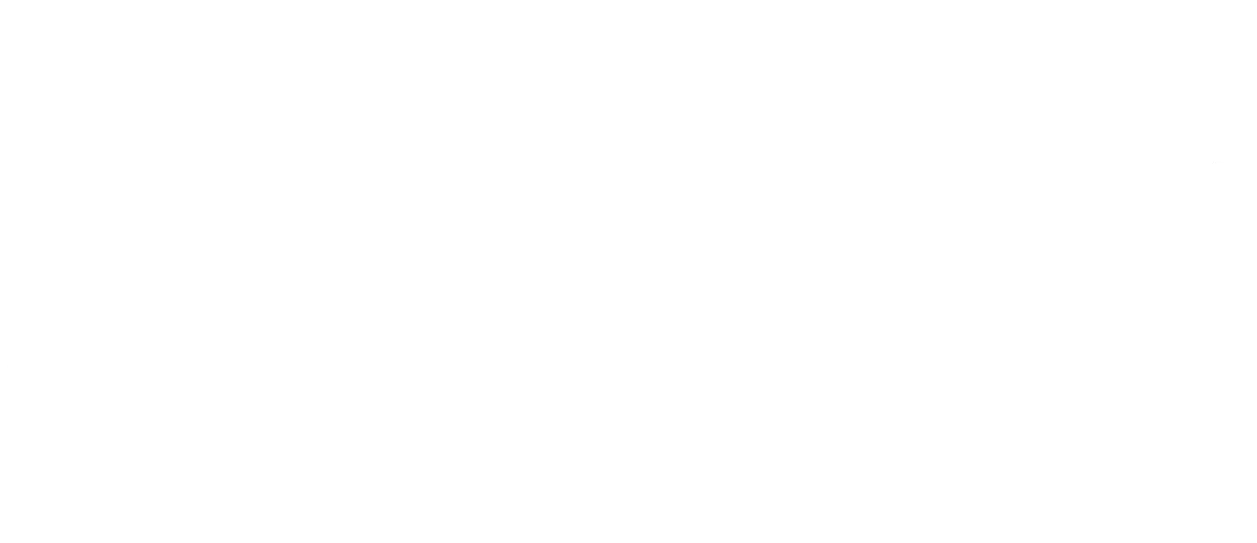 Airbus